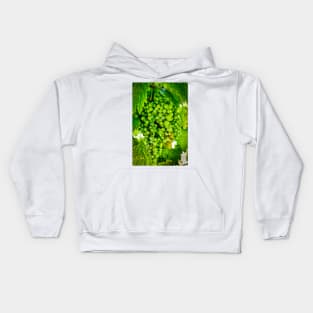 Grapes On Vines Kids Hoodie